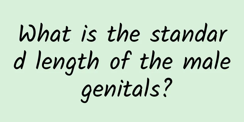 What is the standard length of the male genitals?