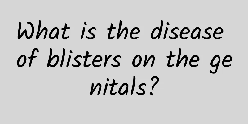 What is the disease of blisters on the genitals?