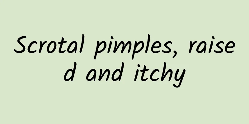 Scrotal pimples, raised and itchy