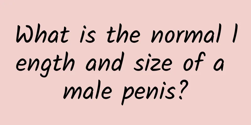 What is the normal length and size of a male penis?