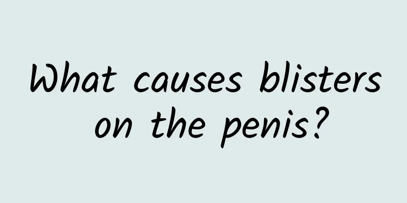What causes blisters on the penis?