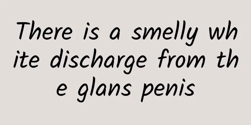 There is a smelly white discharge from the glans penis