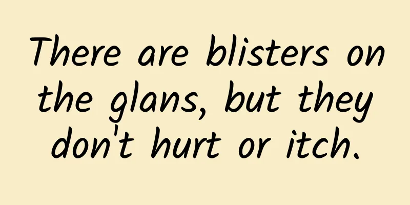 There are blisters on the glans, but they don't hurt or itch.
