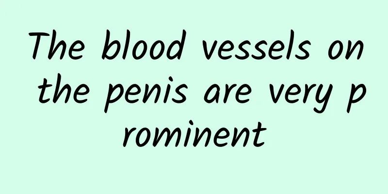 The blood vessels on the penis are very prominent