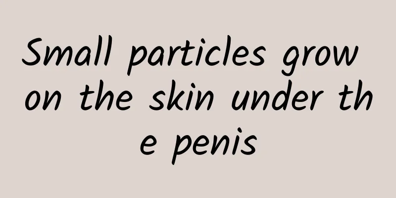 Small particles grow on the skin under the penis