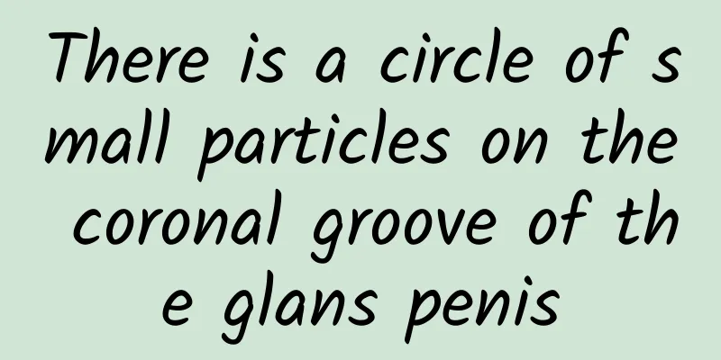 There is a circle of small particles on the coronal groove of the glans penis