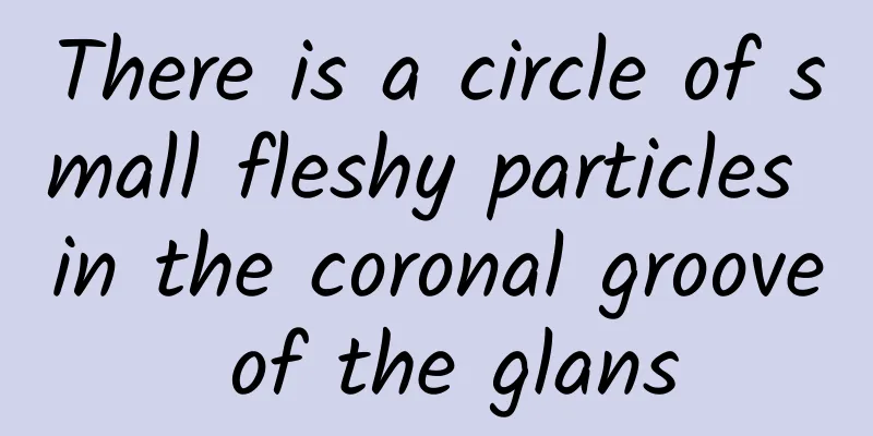 There is a circle of small fleshy particles in the coronal groove of the glans
