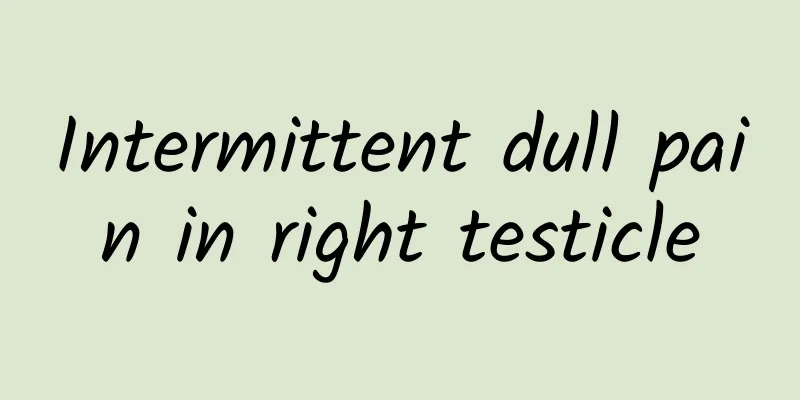 Intermittent dull pain in right testicle