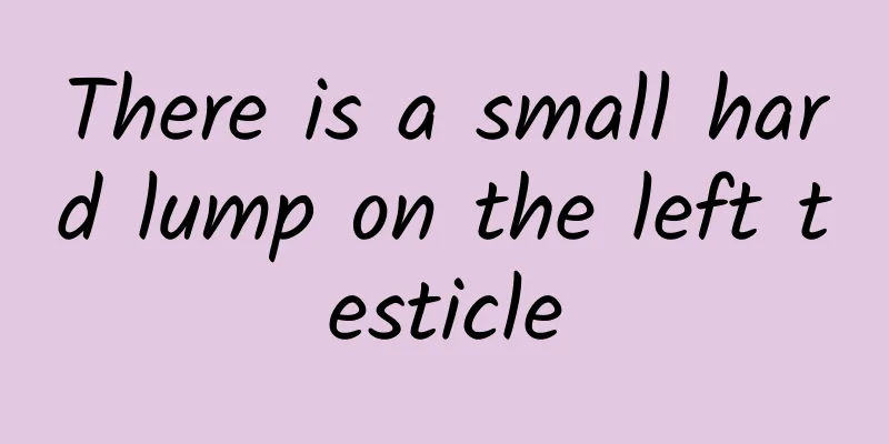 There is a small hard lump on the left testicle