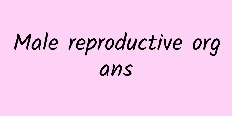 Male reproductive organs