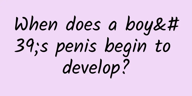 When does a boy's penis begin to develop?
