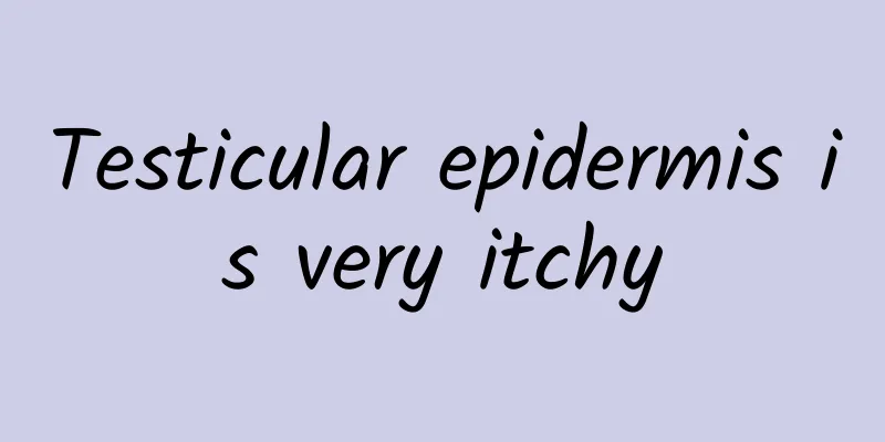 Testicular epidermis is very itchy