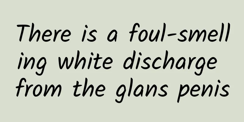 There is a foul-smelling white discharge from the glans penis
