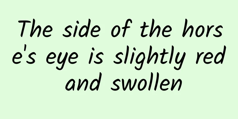 The side of the horse's eye is slightly red and swollen