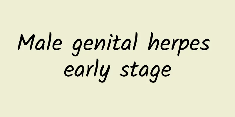 Male genital herpes early stage