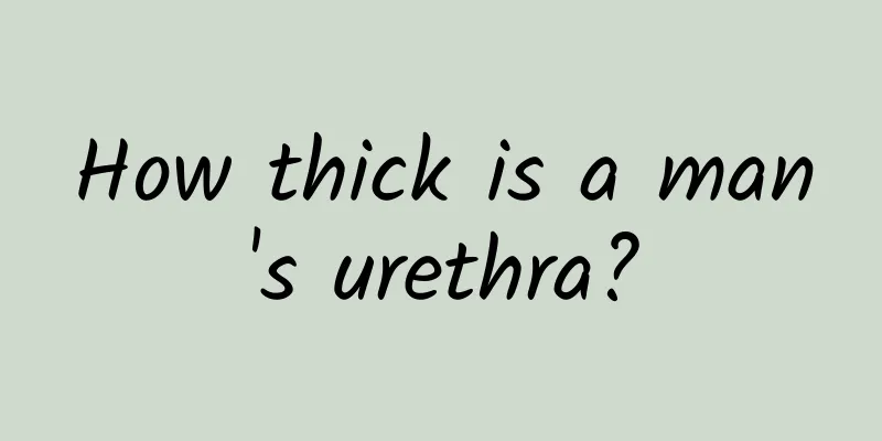How thick is a man's urethra?