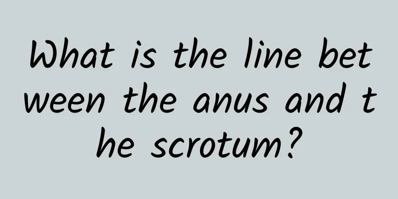 What is the line between the anus and the scrotum?