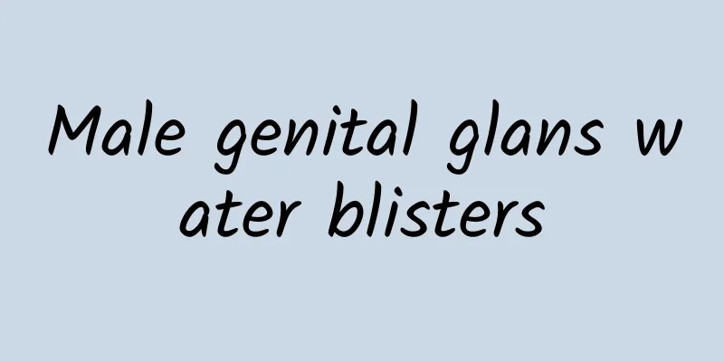 Male genital glans water blisters
