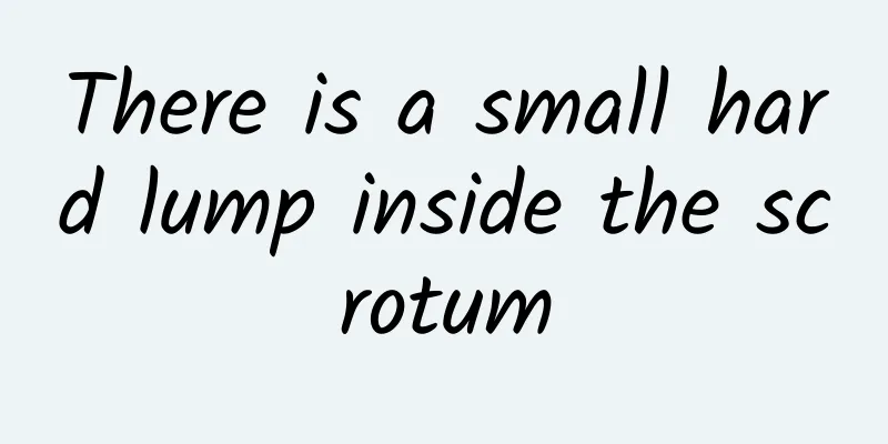 There is a small hard lump inside the scrotum