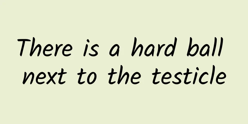 There is a hard ball next to the testicle