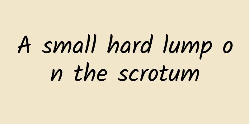 A small hard lump on the scrotum