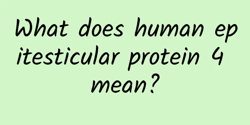 What does human epitesticular protein 4 mean?