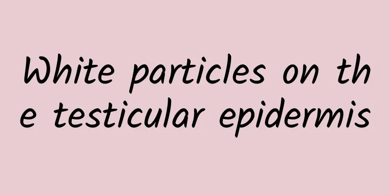 White particles on the testicular epidermis