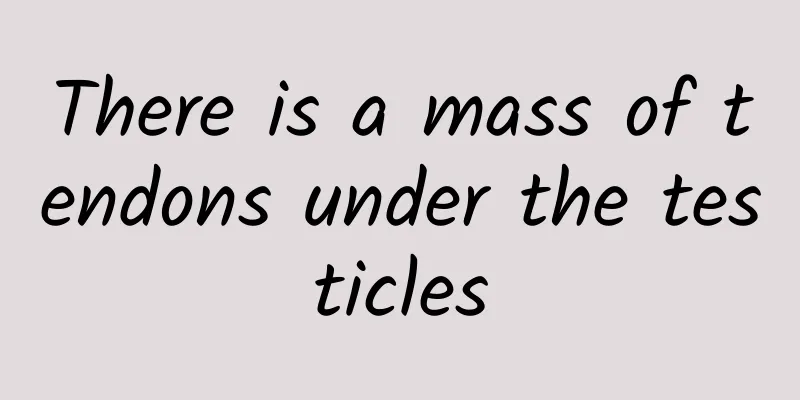 There is a mass of tendons under the testicles