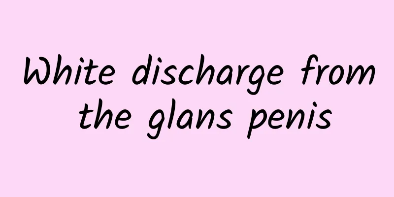 White discharge from the glans penis