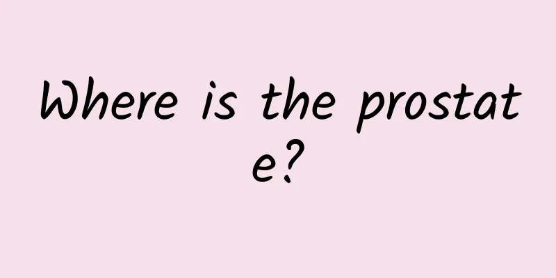 Where is the prostate?