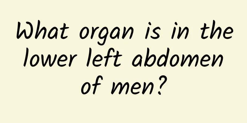 What organ is in the lower left abdomen of men?