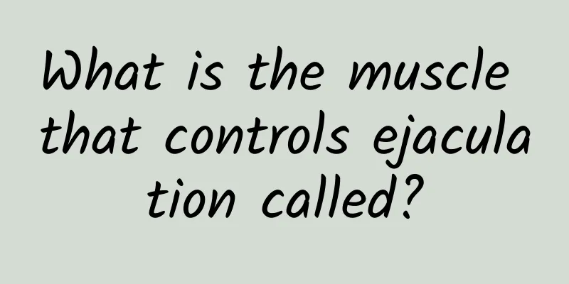 What is the muscle that controls ejaculation called?
