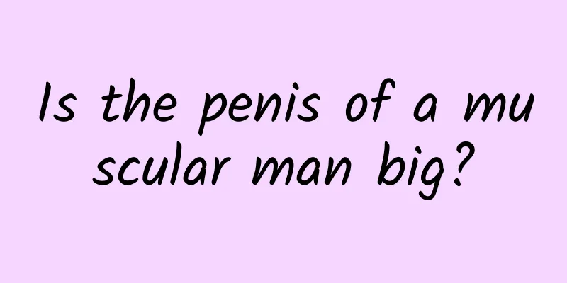 Is the penis of a muscular man big?