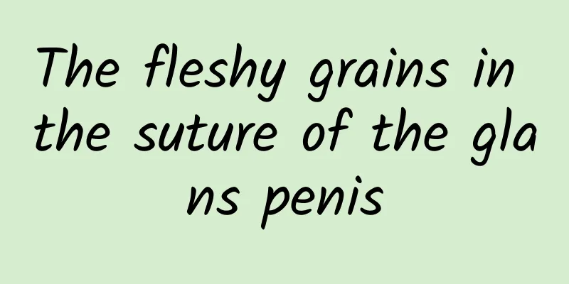 The fleshy grains in the suture of the glans penis