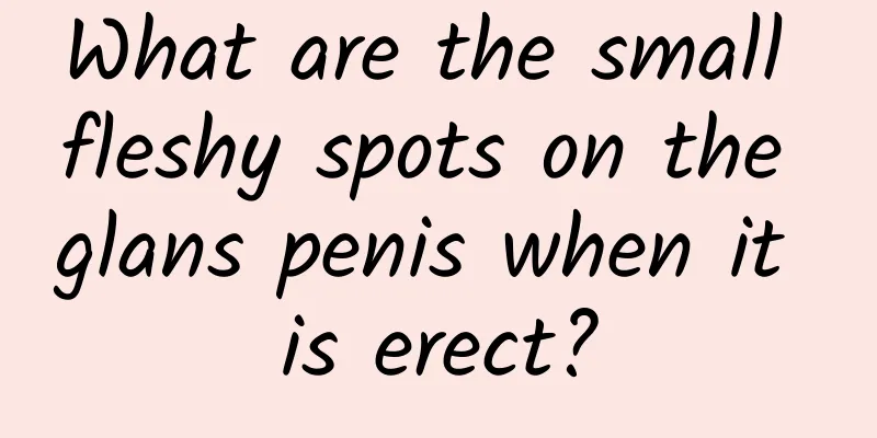 What are the small fleshy spots on the glans penis when it is erect?