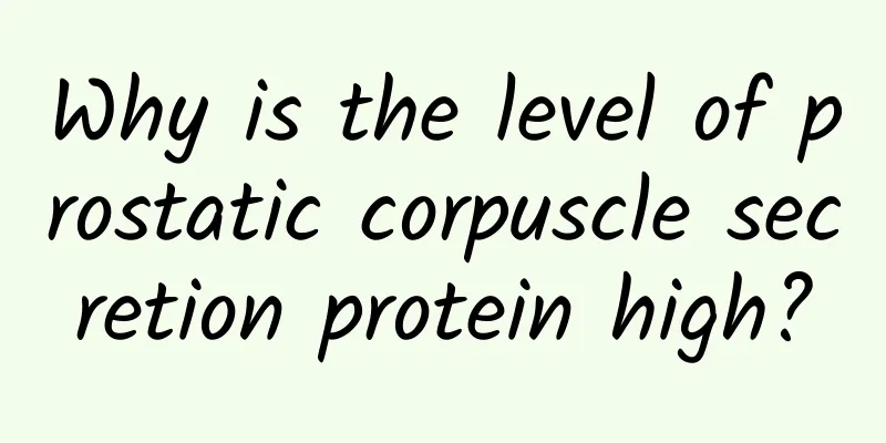 Why is the level of prostatic corpuscle secretion protein high?