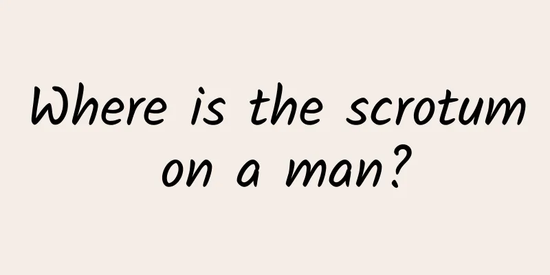 Where is the scrotum on a man?