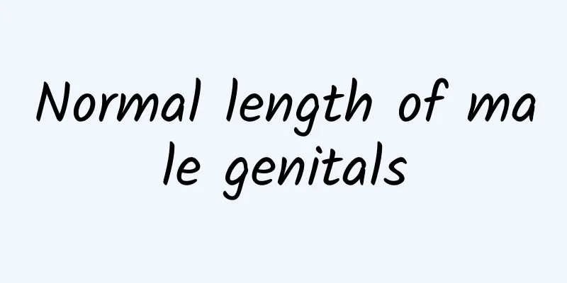 Normal length of male genitals