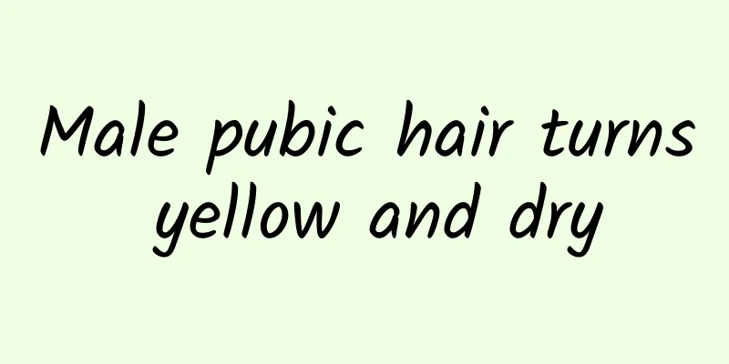 Male pubic hair turns yellow and dry