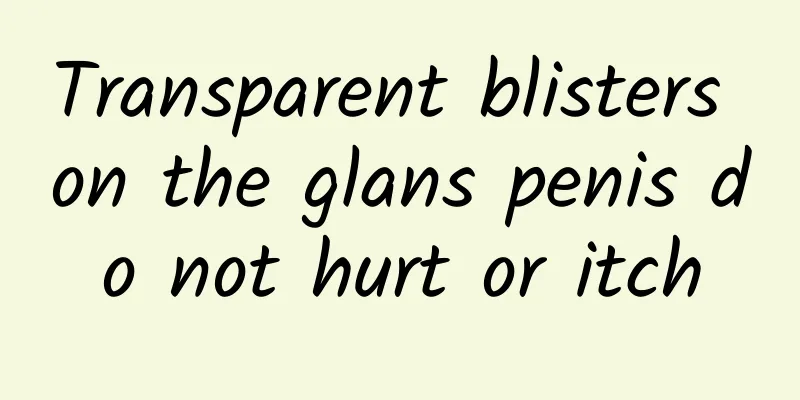 Transparent blisters on the glans penis do not hurt or itch