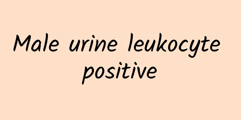 Male urine leukocyte positive