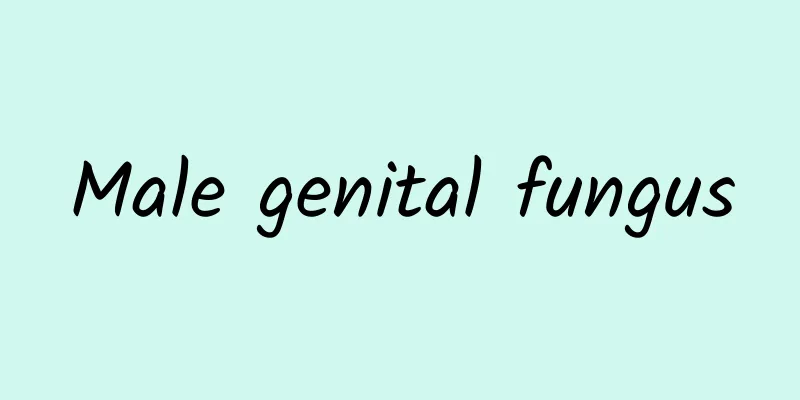 Male genital fungus