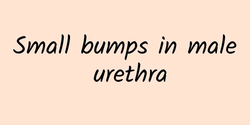 Small bumps in male urethra