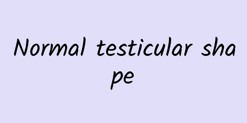 Normal testicular shape