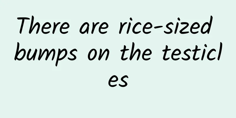 There are rice-sized bumps on the testicles