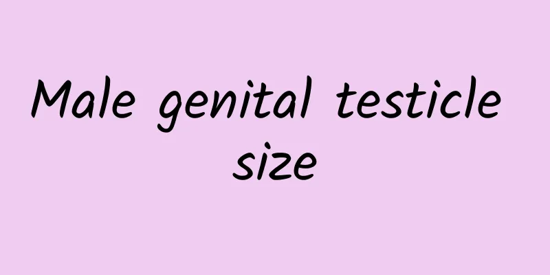 Male genital testicle size