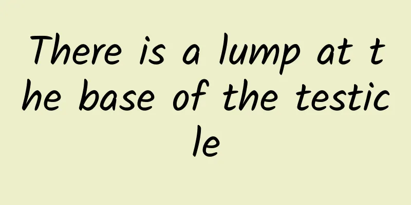 There is a lump at the base of the testicle