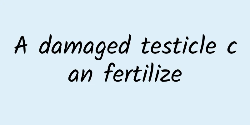 A damaged testicle can fertilize