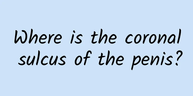 Where is the coronal sulcus of the penis?
