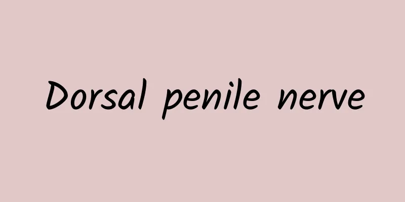 Dorsal penile nerve